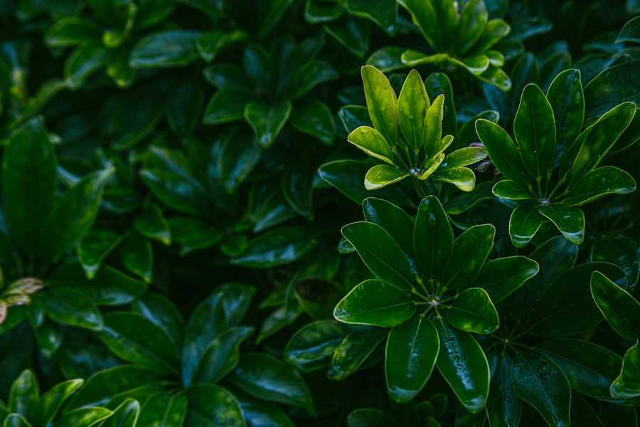 Gadżety do samochodu – sprawdź co może Ci się przydać