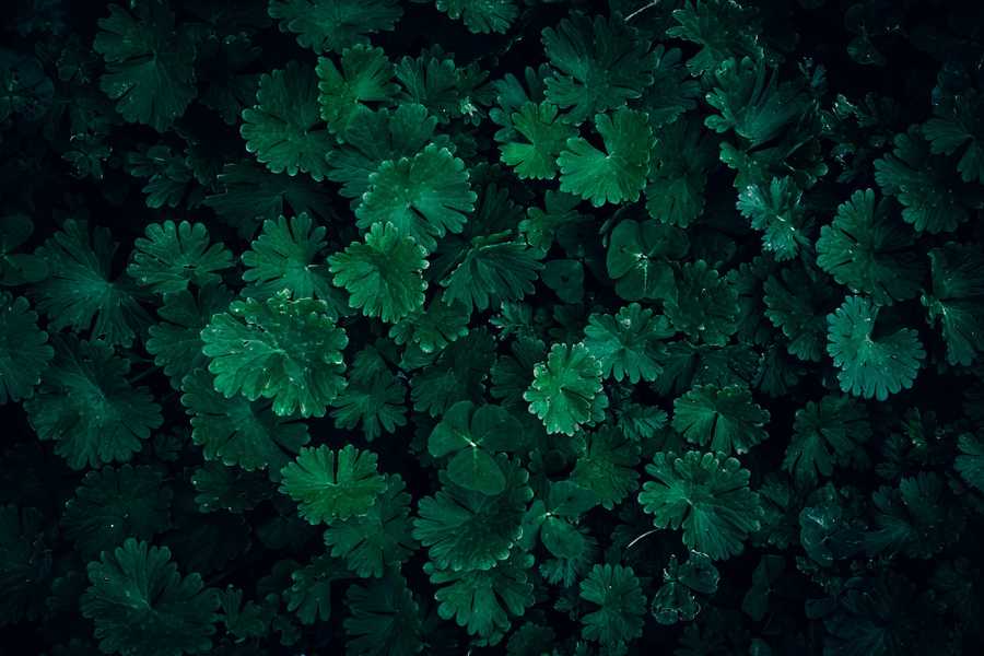 Nowoczesne technologie, a energetyka