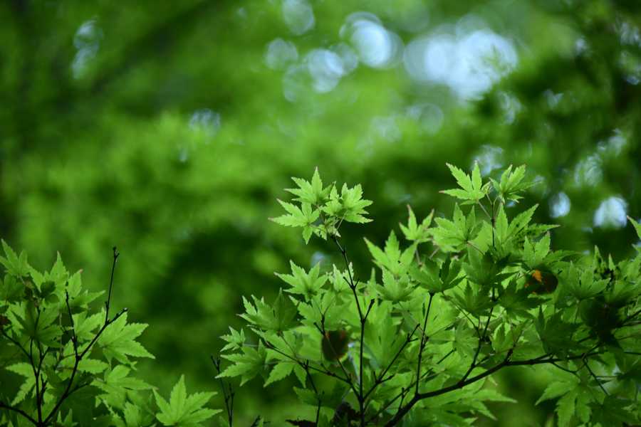 Animacje 3D w reklamie – jak przyciągnąć uwagę klientów?