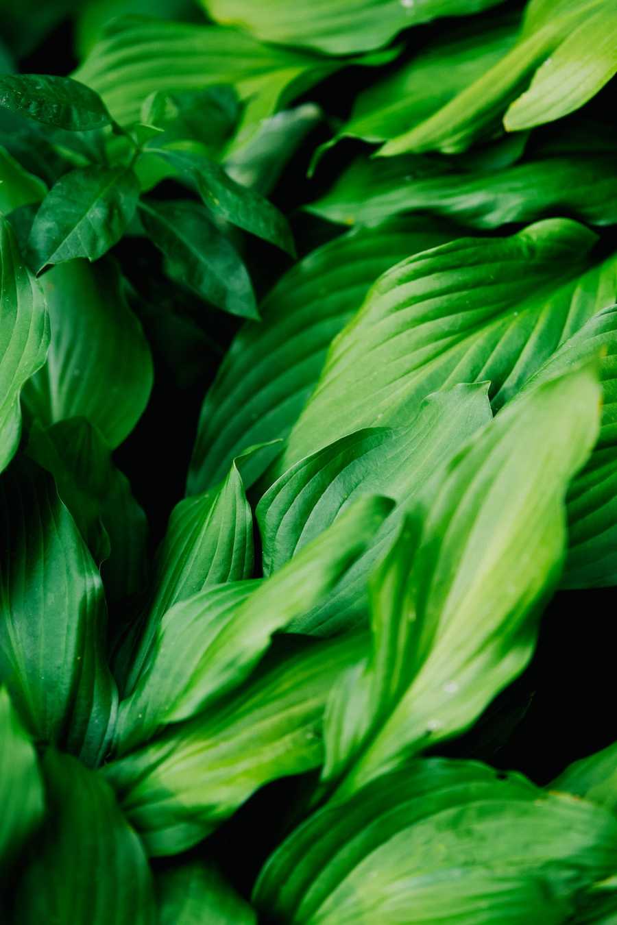 Agencja reklamowa praca zdalna – co warto wiedzieć?