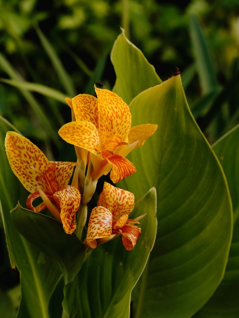 Nowoczesny marketing i komunikacja marki