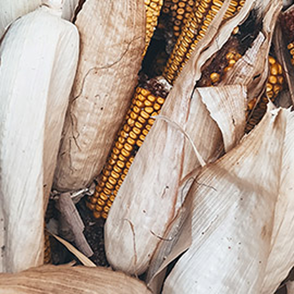Kukurydziane PLA