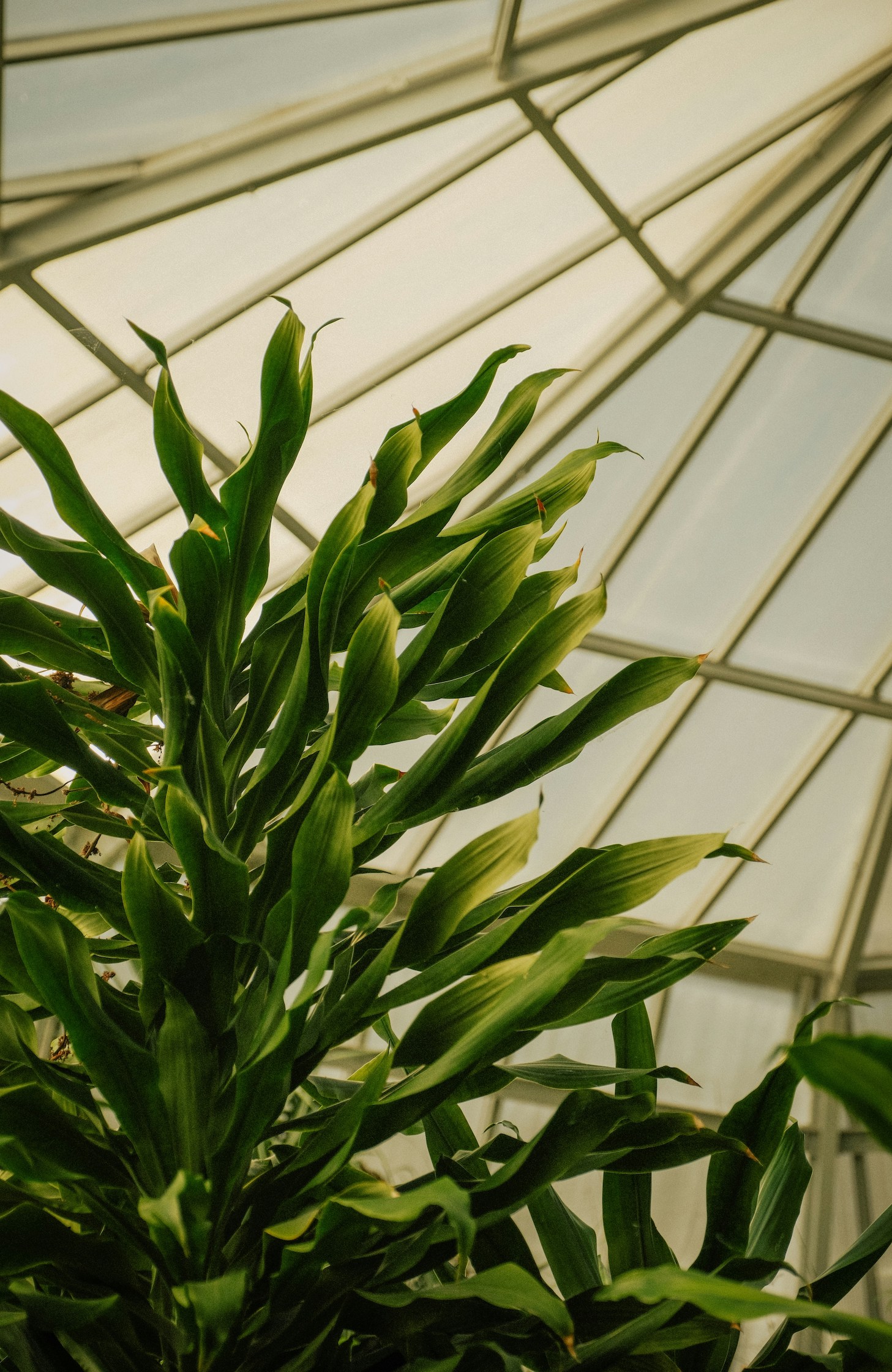 Ekologiczne materiały w reklamie