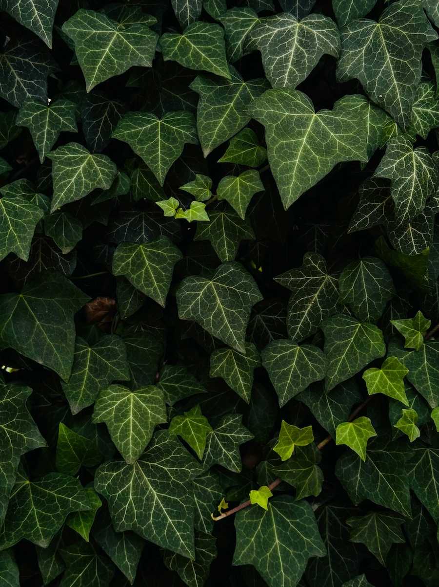 Marketing internetowy – czym jest i jak działa?