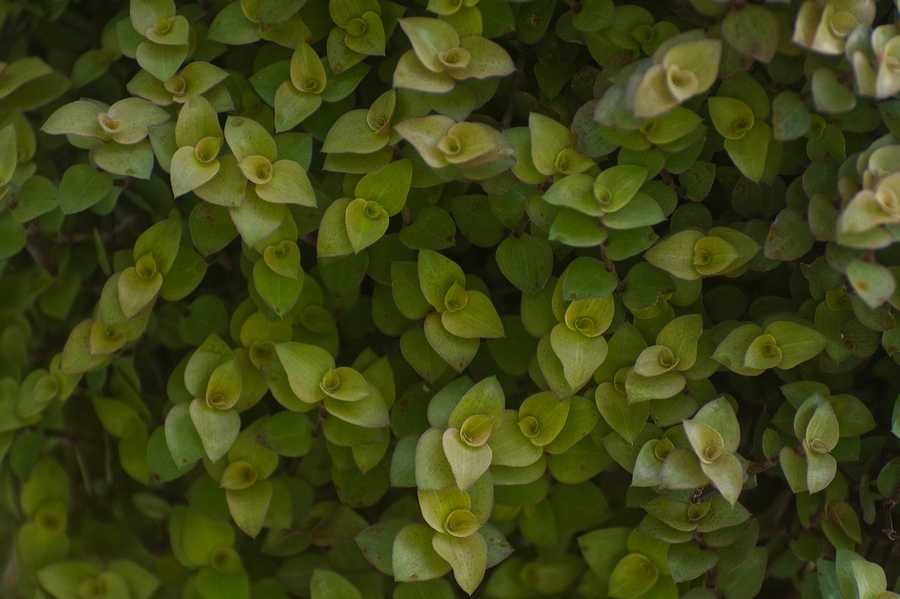 WCAG 2.1 – co to jest i jak to działa?