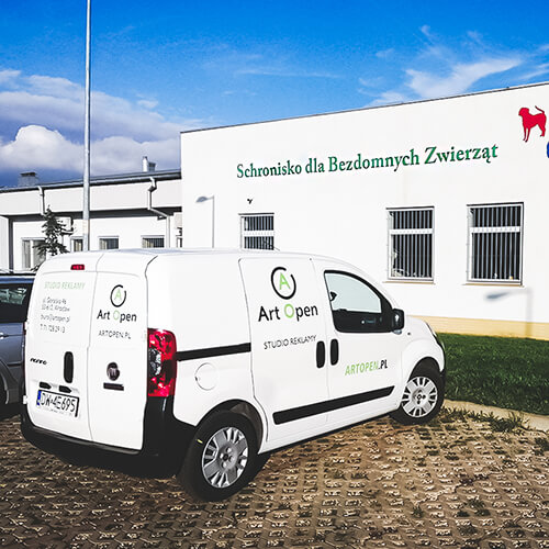 Pomoc zwierzakom w schronisku