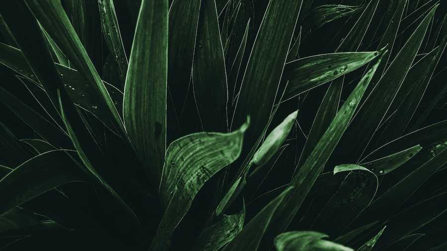 Akcja sprzątanie – Otwarci na środowisko – vol.2