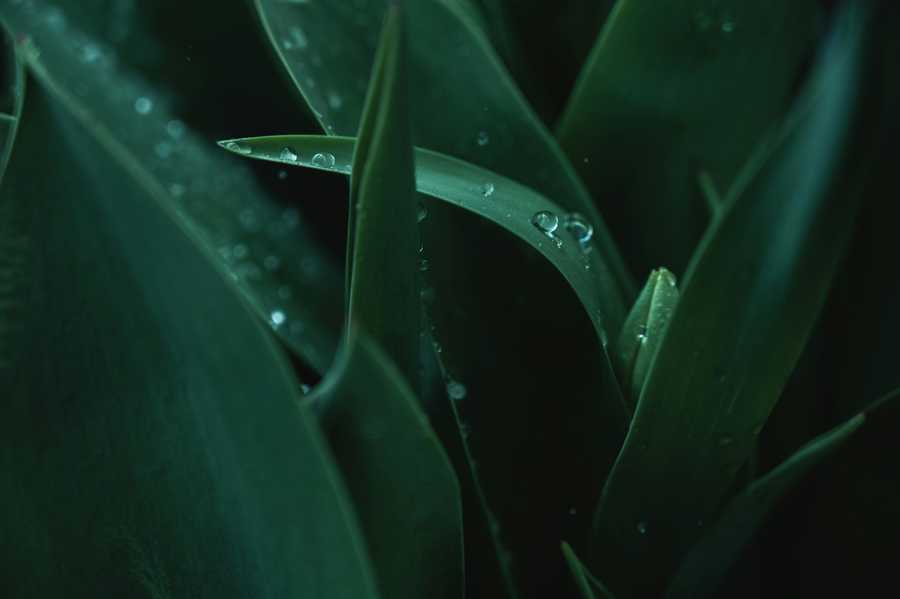 Kalendarze książkowe firmowe – w czym mogą pomóc?