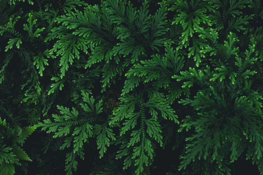 Wspólnie pompowaliśmy dla Mii