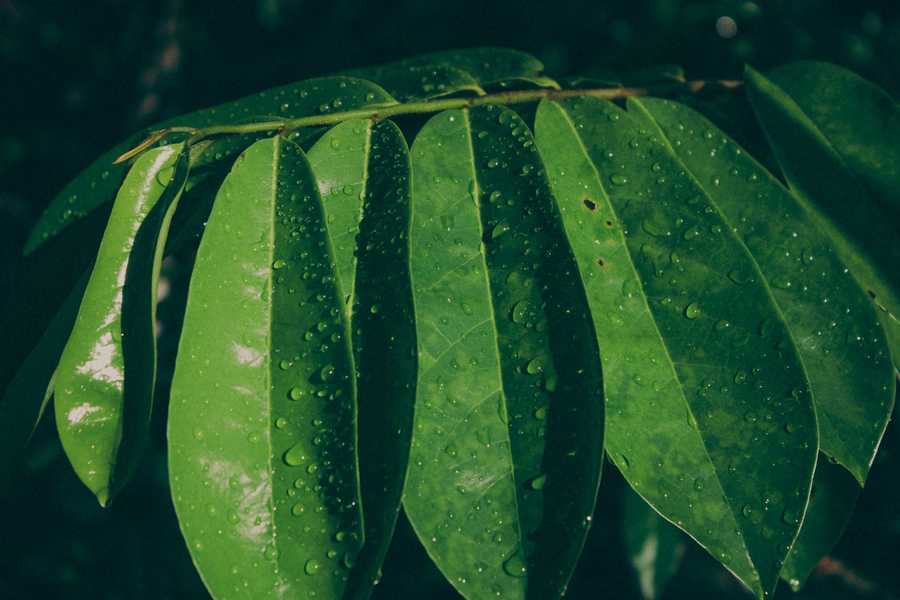 Personal branding czym jest i jakie ma zalety?