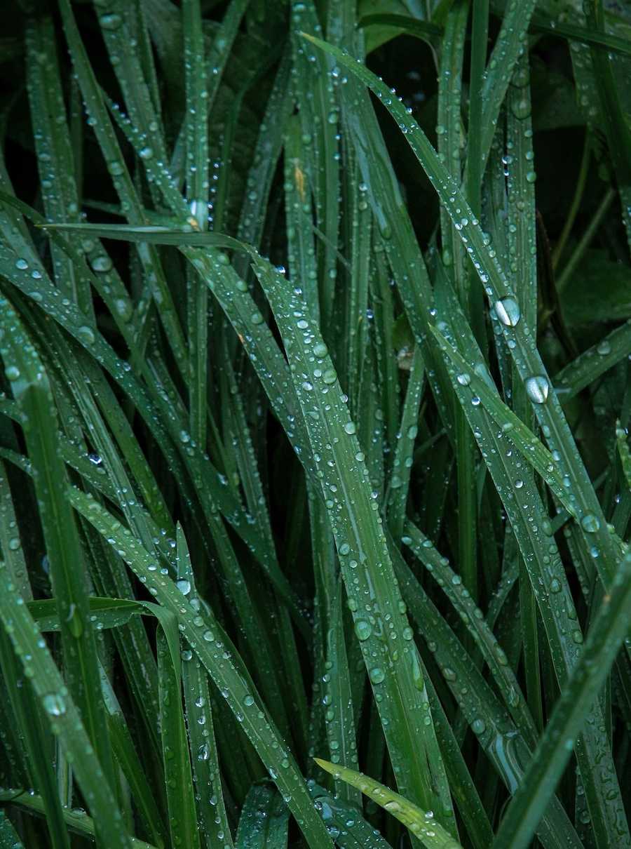 Branding firmy – na czym polega?