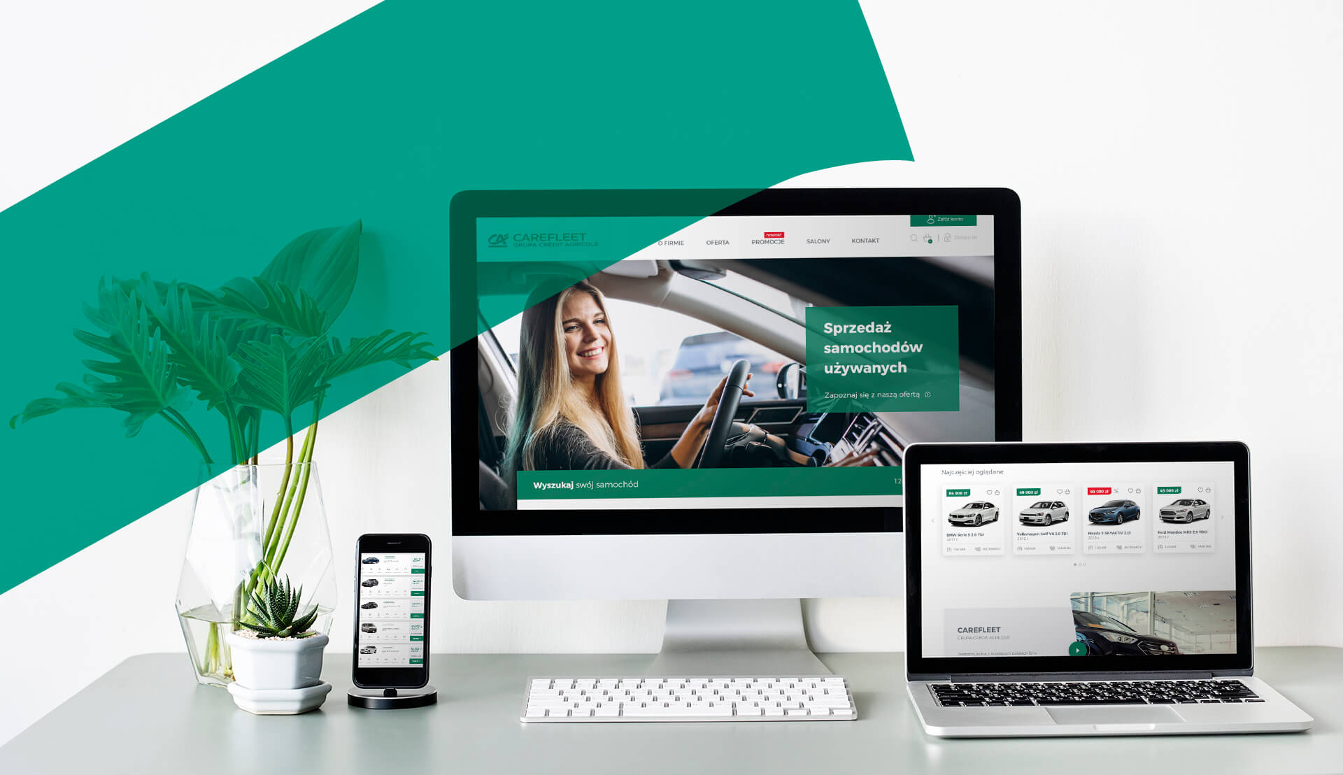 Carefleet - projekt UI i UX