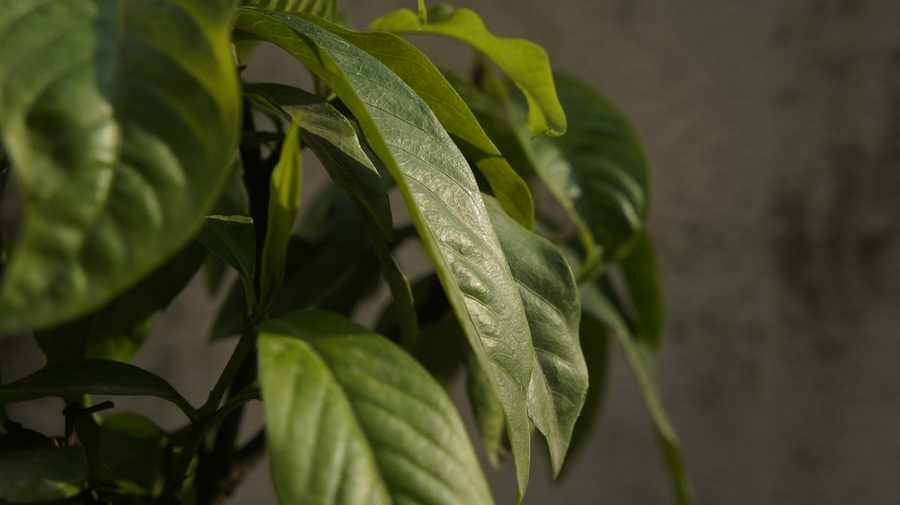 Jak firmy skracają proces zamawiania gadżetów reklamowych z kilku dni do kilku minut