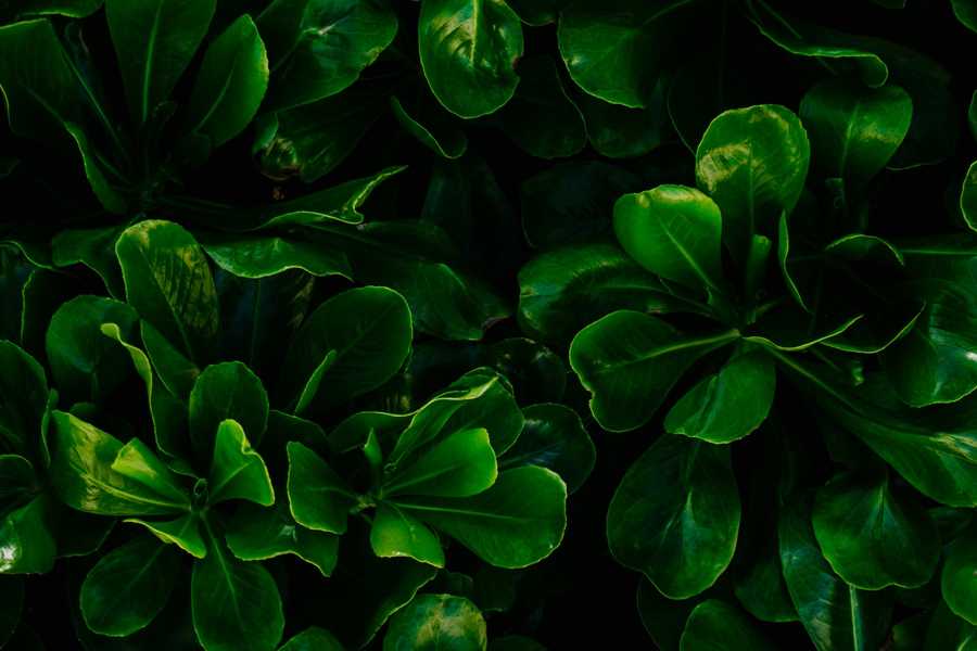 Marketing internetowy – jakie ma znaczenie?