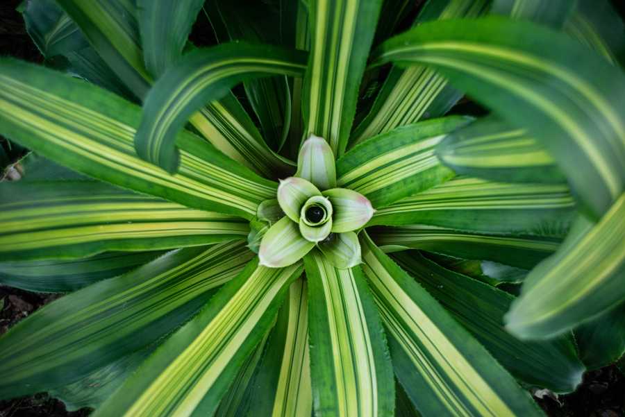 29. finał WOŚP – Wspieramy się razem!